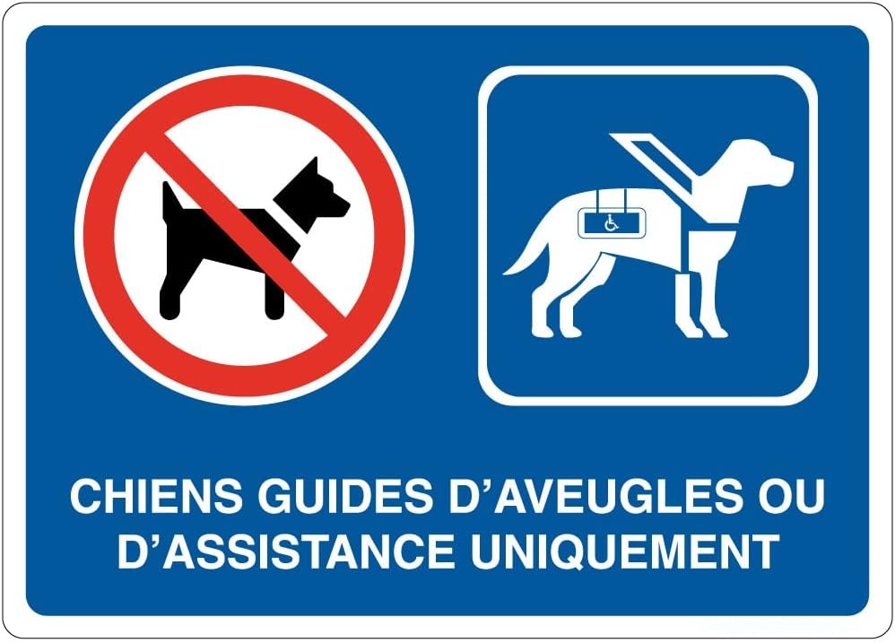 Chiens interdits